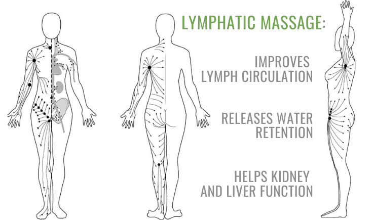 improves lymph circulation.