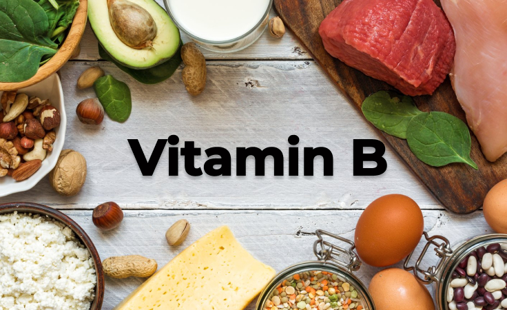 foods high in vitamin b
